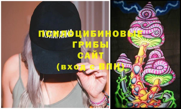 мдпв Гусь-Хрустальный